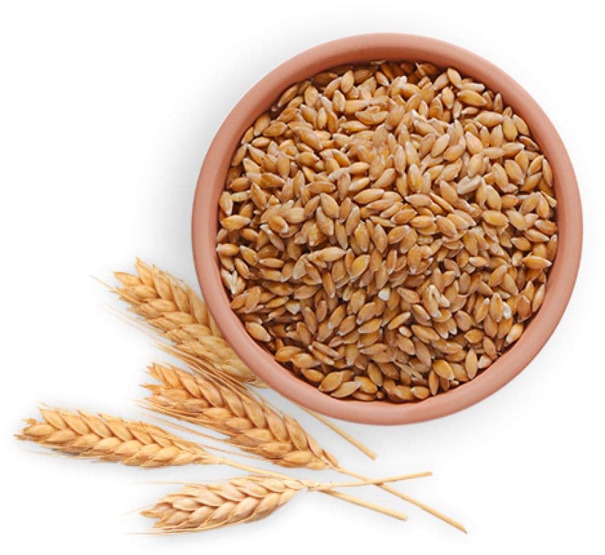 Whole Wheat Flour | Lal Atta | 2kg